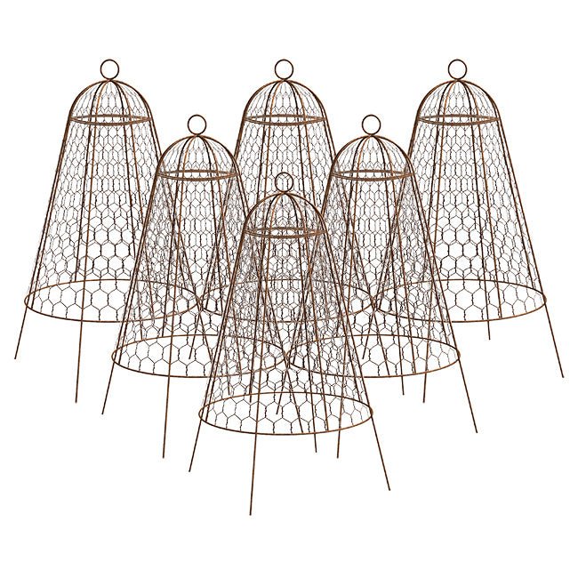 Rustic Wire Garden Plant Cloches, 20" tall, Pack of 6 - inthegardenandmore.com