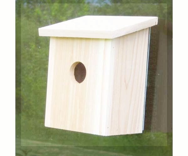 Window Nest View Bird House - inthegardenandmore.com