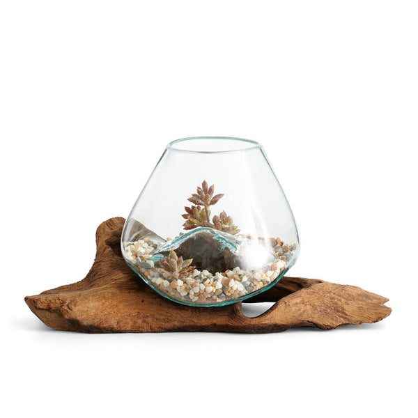 Our simply beautiful 12” Long Hand Blown Molten Glass and Teak Wood Root Sculptured Terrarium / Vase / Fish Bowl will delight you with creative ideas on how to decorate it. 