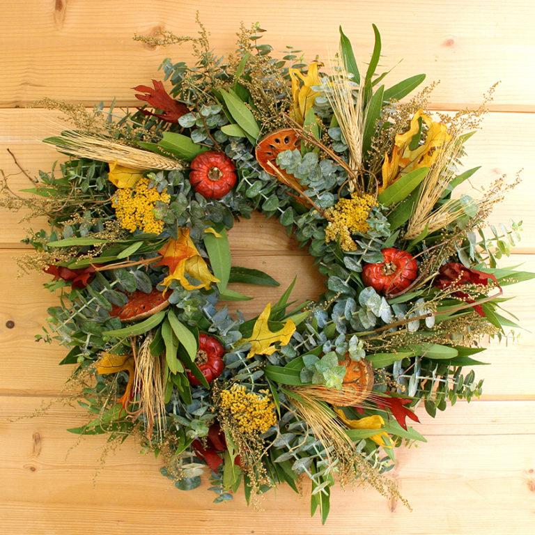 Our Eucalyptus and Bay Fresh and Fragrant Fall Wreath is 18” in diameter and custom made here in the USA by skilled artisans who have also grown all the ingredients right on the farm. Beautiful piece for indoor and protected outdoor environments.