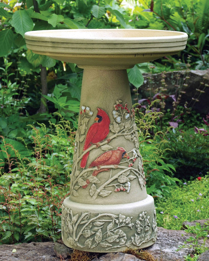 3 Common Misconceptions About Bird Baths That Are Simply Not True