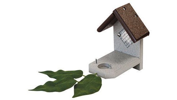 Affordable Handcrafted Garden Gifts for Nature Lovers