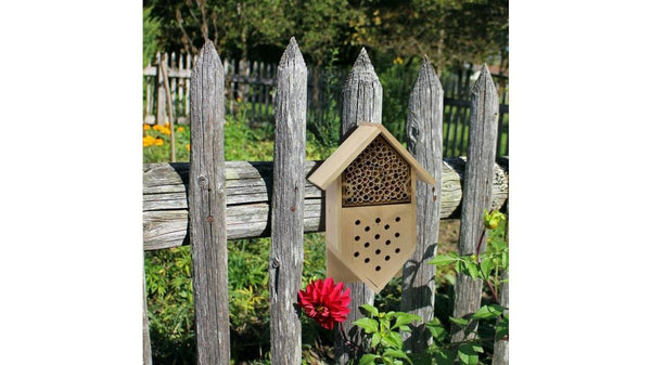 5 Best Native Plants for Pollinator Gardens
