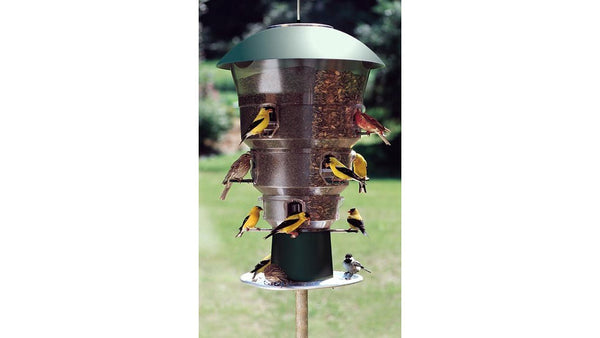 Best Durable Bird Feeders for Outdoors