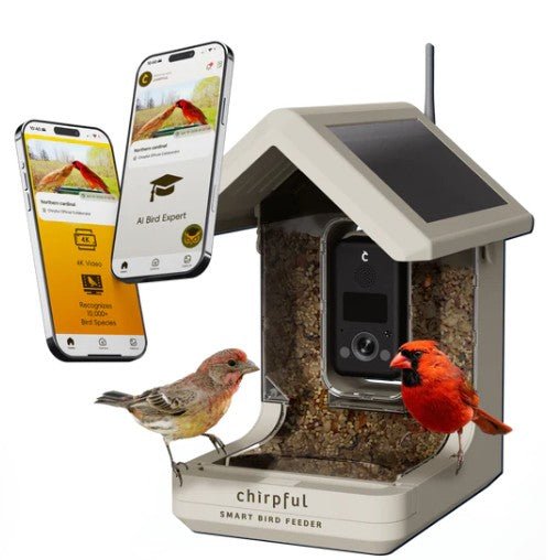 Chirpful Solar Powered Smart Birdfeeder with 4K Camera with AI Recognition System