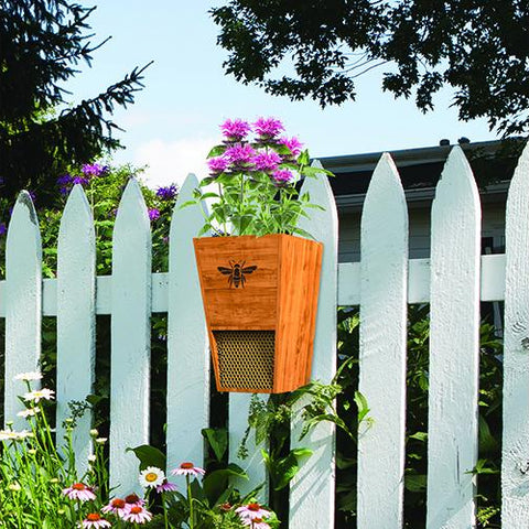 Our Cedar Wood Mason Bee House and Planter combination cedar wood mason bee house and planter will give you the best of both worlds… attract bees to your garden and give them shelter and also create a space for them to pollinate your plants. 