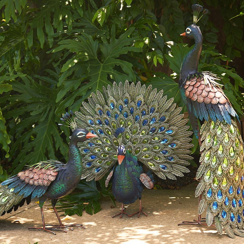 Our Bejeweled Peacock Garden Statuary (Set of 3) feature rich blue and green colors are accented in gold and make these birds look strikingly beautiful for indoor and outdoor displays. Not only are colors exquisite, but a variety of colored acrylic gem stones in their detailed tails make them sparkle and shine. They are a must have in your garden.