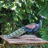 Our Bejeweled Peacock Garden Statuary (Set of 3) feature rich blue and green colors are accented in gold and make these birds look strikingly beautiful for indoor and outdoor displays. Not only are colors exquisite, but a variety of colored acrylic gem stones in their detailed tails make them sparkle and shine. They are a must have in your garden.