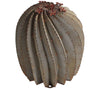 Our Fishhook Barrel Cactus Metal Yard Art Sculpture are available in 2 sizes and are handcrafted by skilled artisans in the USA. Our artisans have captured the beauty of these golden barrel cactus garden décor metal sculptures with ornate detailing and variegated patina finish. They have been crafted from all-weather, galvanized steel (metal) and we can assure you they will definitely make a statement wherever you place them, not just in the Southwest.  