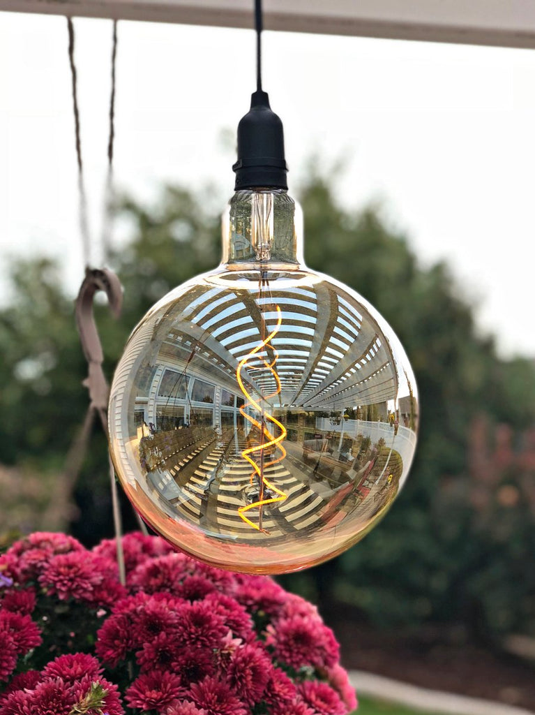 Battery Operated Hanging LED Vintage Indoor/Outdoor Lights. Shown is the globe bulb.