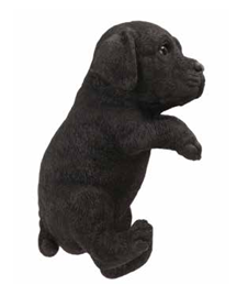 Our Black Laborador Hanging Indoor Outdoor Puppy Statue features realistic details that have been handcrafted by skilled artisans. We show it hanging off the mirror on our car, but it is great hanging from a fence or add it to the side of a plant pot, hang it from your mantle. Size is 8.75"H x 5"W x 3.75"D.