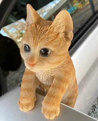 Our Orange Tabby Hanging Indoor Outdoor Kitty Statue features realistic details that have been handcrafted by skilled artisans. We show it hanging off the mirror on our car, but it is great hanging from a fence or add it to the side of a plant pot, hang it from your mantle. Size is 8.75"H x 5"W x 3.75"D.