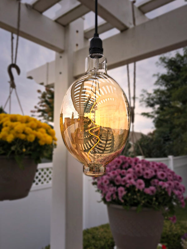 Battery Operated Hanging LED Vintage Indoor/Outdoor Lights. Shown is the oval bulb.