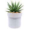 Our White Secret Safe Flowerpot with Built in Locking Safe allows you to keep something valuable under lock and key. The 2 part flowerpot can discreetly hide small valuables inconspicuously and blends in with household décor without looking out of place. The top of the flowerpot lifts out to reveal a locking 4-3/8” x 2 ½” steel strong box.