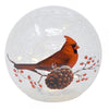 Our Winter Cardinal LED Lighted Crackle Glass Globe Lantern will help you celebrate the winter season and light up your Christmas holiday. This festive and colorful decoration is 6” in diameter and made of glass with a crackled finish and features pair of exquisitely painted cardinal that is perched on a pinecone among red berries with a light dusting of snow. Inside the glass globe are a set of string lights with 10 bright LED lights to create a warm ambience glow in any room in your home.