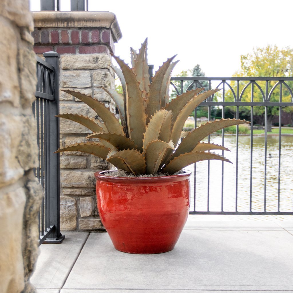 saw tooth succulent In the Garden and More | Sawtooth Art Sculpture