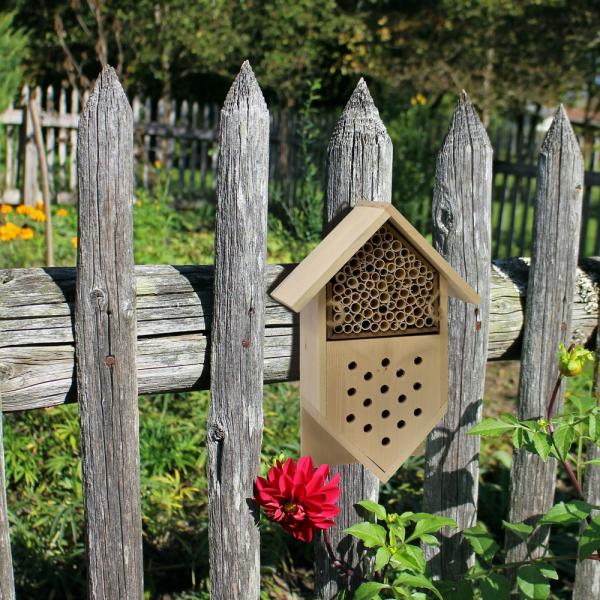 Bee Garden Boarding House - inthegardenandmore.com