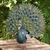 Bejeweled Peacock Bird Statuary for Garden (Set of 3)- inthegardenandmore.com