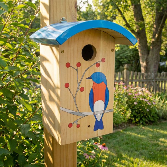 Blue Slope Roof and Hand Painted Wood Bluebird House - inthegardenandmore.com