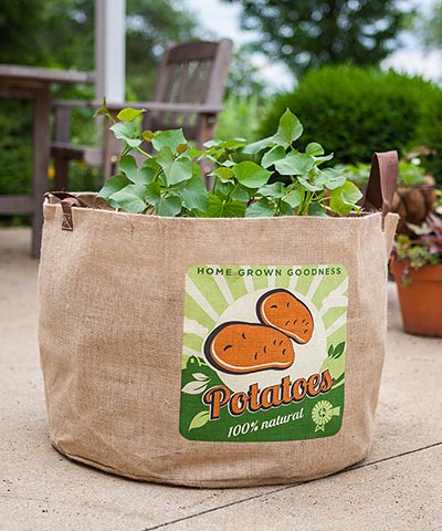Canvas Pepper Vegetable Growing Bags with Handles (set of 2) - inthegardenandmore.com