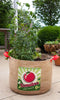 Canvas Pepper Vegetable Growing Bags with Handles (set of 2) - inthegardenandmore.com