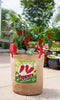 Canvas Pepper Vegetable Growing Bags with Handles (set of 2) - inthegardenandmore.com