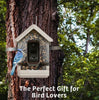 Chirpful Solar Powered Smart Birdfeeder with 4K Camera with AI Recognition System - inthegardenandmore.com
