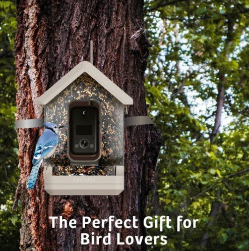 Chirpful Solar Powered Smart Birdfeeder with 4K Camera with AI Recognition System - inthegardenandmore.com