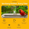 Chirpful Solar Powered Smart Birdfeeder with 4K Camera with AI Recognition System - inthegardenandmore.com