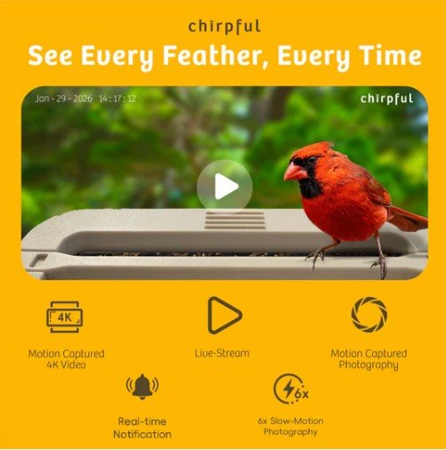 Chirpful Solar Powered Smart Birdfeeder with 4K Camera with AI Recognition System - inthegardenandmore.com