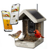 Chirpful Solar Powered Smart Birdfeeder with 4K Camera with AI Recognition System - inthegardenandmore.com