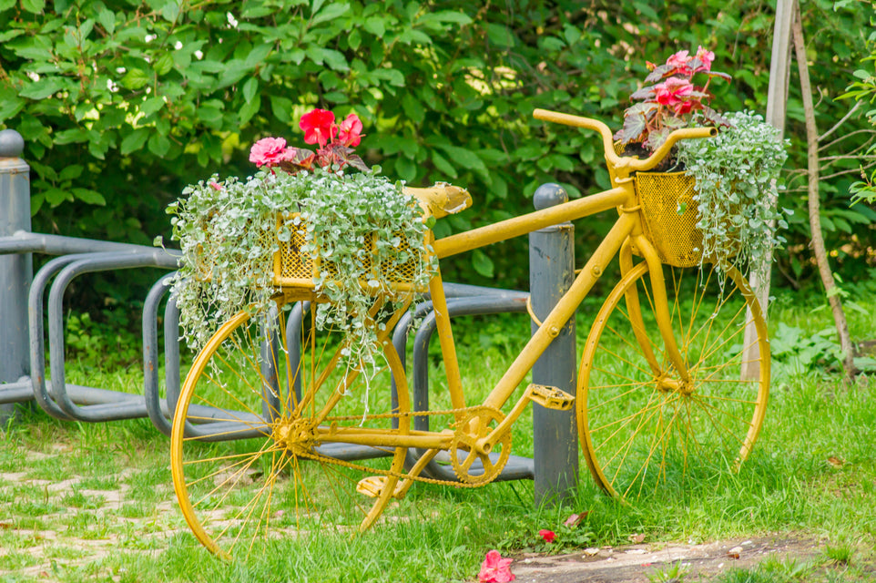 Our New Products section, showing a bicycle used as a planter.