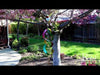 Video of  Ruby Throated 3D Wind Spinner  made of metal and glass. inthegardenandmore.com