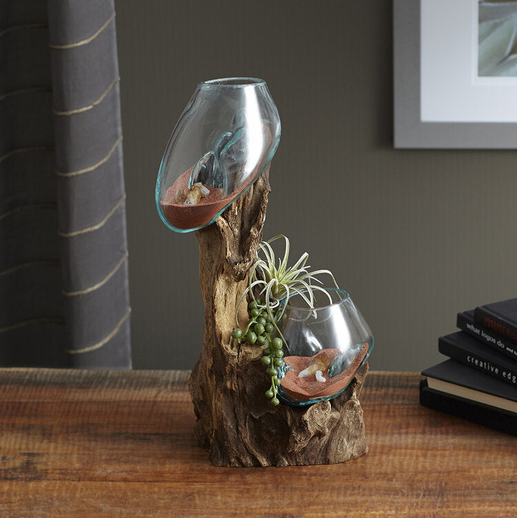 Here is an idea on how to add style and function to  your Hand Blown Molten Double Glass and Wood Root Sculptured Terrarium/Vase