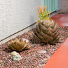 Shown planted in the ground as a set of 2, our Agave Artichoke Succulent Metal Yard Art Sculpture is handcrafted here in the USA by skilled artisans that have certainly captured the beauty of these agave garden décor metal sculptures. You can plant them in the ground or in a planter and they create maintenance free, beautiful landscaping pieces.