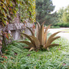 Shown planted in the ground, our Agave Sawtooth Succulent Metal Yard Art Sculpture is handcrafted here in the USA by skilled artisans that have certainly captured the beauty of these agave garden décor metal sculptures. You can plant them in the ground or in a planter and they create maintenance free, beautiful landscaping pieces.