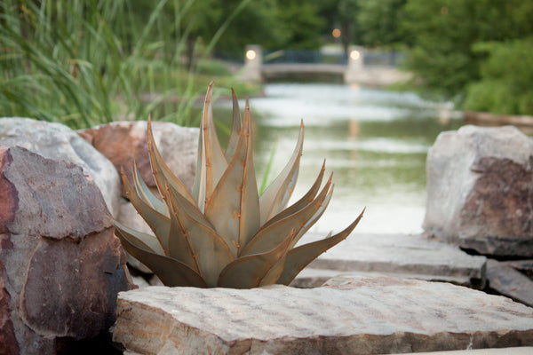 Our Agave Sharkskin Succulent Metal Yard Art Sculpture looks beautiful nestled into rocks