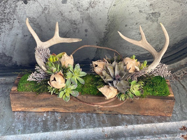 Our Antler and Succulent Tabletop Centerpiece Décor is an arrangement that features a blend of warm rustic charm with unique beauty. This handcrafted piece begins with reclaimed barn wood that has been crafted into a trough and then hand assembled and filled with an artistic arrangement of lush faux succulents, concho pods, preserved greenery and real antlers. Size is 24” long x 12” high x 6” wide and awaits a place in your home or sheltered outdoor area to be displayed for its uniqueness and beauty.