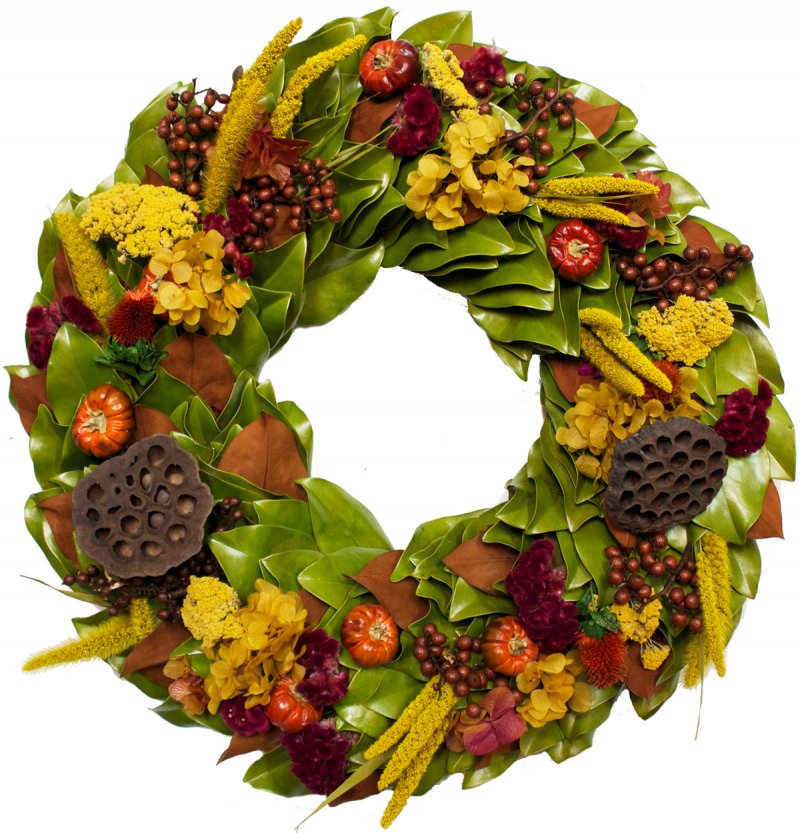 Available in three sizes, 18’, 23” and 28” and ready for the ohh’s and ahh’s of beauty. It is an beautiful wreath for fall, but don’t limit its beauty to just a season. This dried and preserved magnolia wreath creation, which has been handcrafted and assembled, here in the USA, by skilled artisans who share the love for their craft through their eye for exquisite detail.  Each magnolia leaf is cut fresh, then dried and turned and placed onto this wreath to give it an abundance of fullness.  