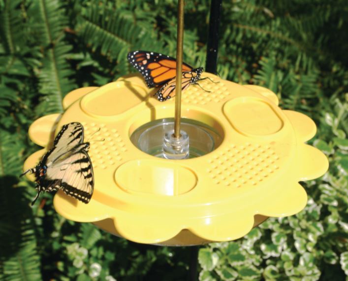 Our Butterfly Fruit and Nectar Feeder with Nectar features a 12 oz. capacity feeder with feeding stations and fruit trays and will allow you to attract a variety of butterflies as well as two 7.50 oz. pouches of nectar. Size is 9" wide x 9-1/2" high with handing hook.