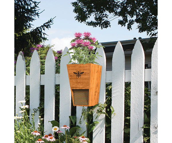  Our Cedar Wood Mason Bee House and Planter combination cedar wood mason bee house and planter will give you the best of both worlds… attract bees to your garden and give them shelter and also create a space for them to pollinate your plants. This bee house gives them a cool place to thrive and repopulate and enables them to pollinate in the vicinity. Size is 8.00 (D) x 8.00 (W) x 14.00 (H) inches.