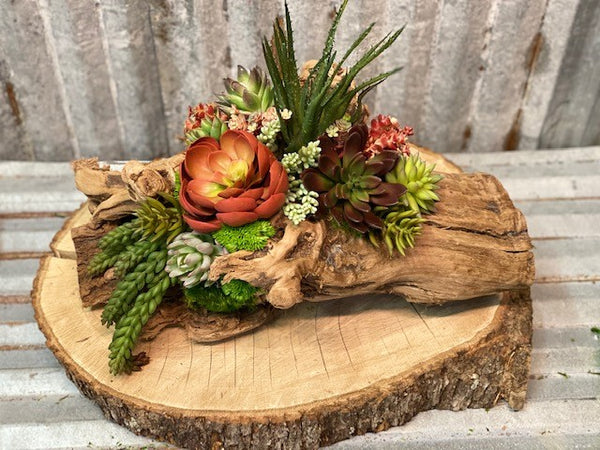 Our Echeveria Succulent Log Tabletop Centerpiece Décor features a variety of mixed succulents and deer moss all nestled in a repurposed log of tumbled grape wood. Each one of our log pieces is handmade by skilled artisans and may have variance in log and design of succulents, but we can assure you that you will love your one-of-a-kind creation. Approximate size is 19" long x 10" wide.