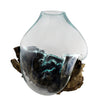 Extra Large Hand Blown Molten Glass and Wood Root Sculptured Terrarium / Vase / Fish Bowl (13x13”)