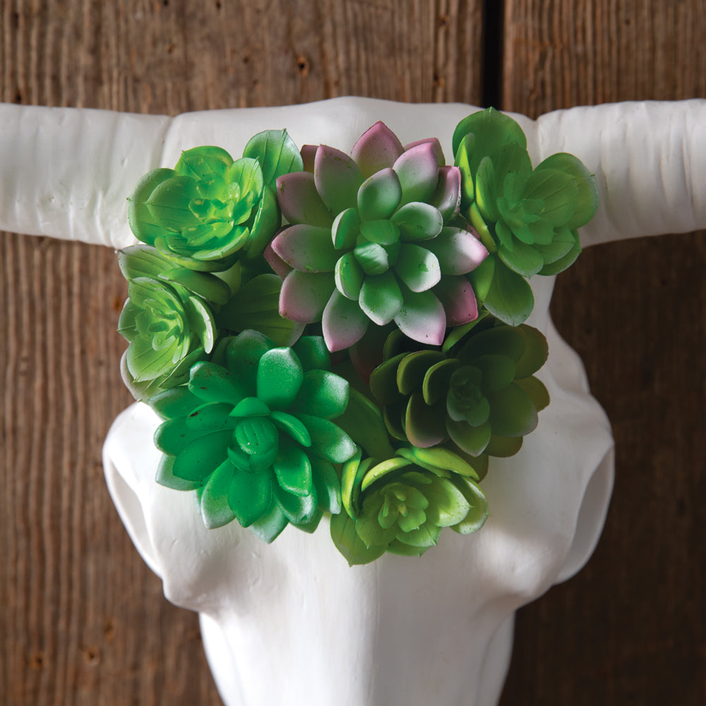 An up close look at the planted succulents in Our Faux Longhorn Skull with Succulents Wall Art. It is a beautiful stand alone piece or add it to a gallery wall arrangement to add dimension. This unique wall décor piece features artificial succulents that have been planted on the top of the white painted, white faux longhorn skull. To hang, use its keyhole hanger. Size is 20''W x 5½''D x 16''H.