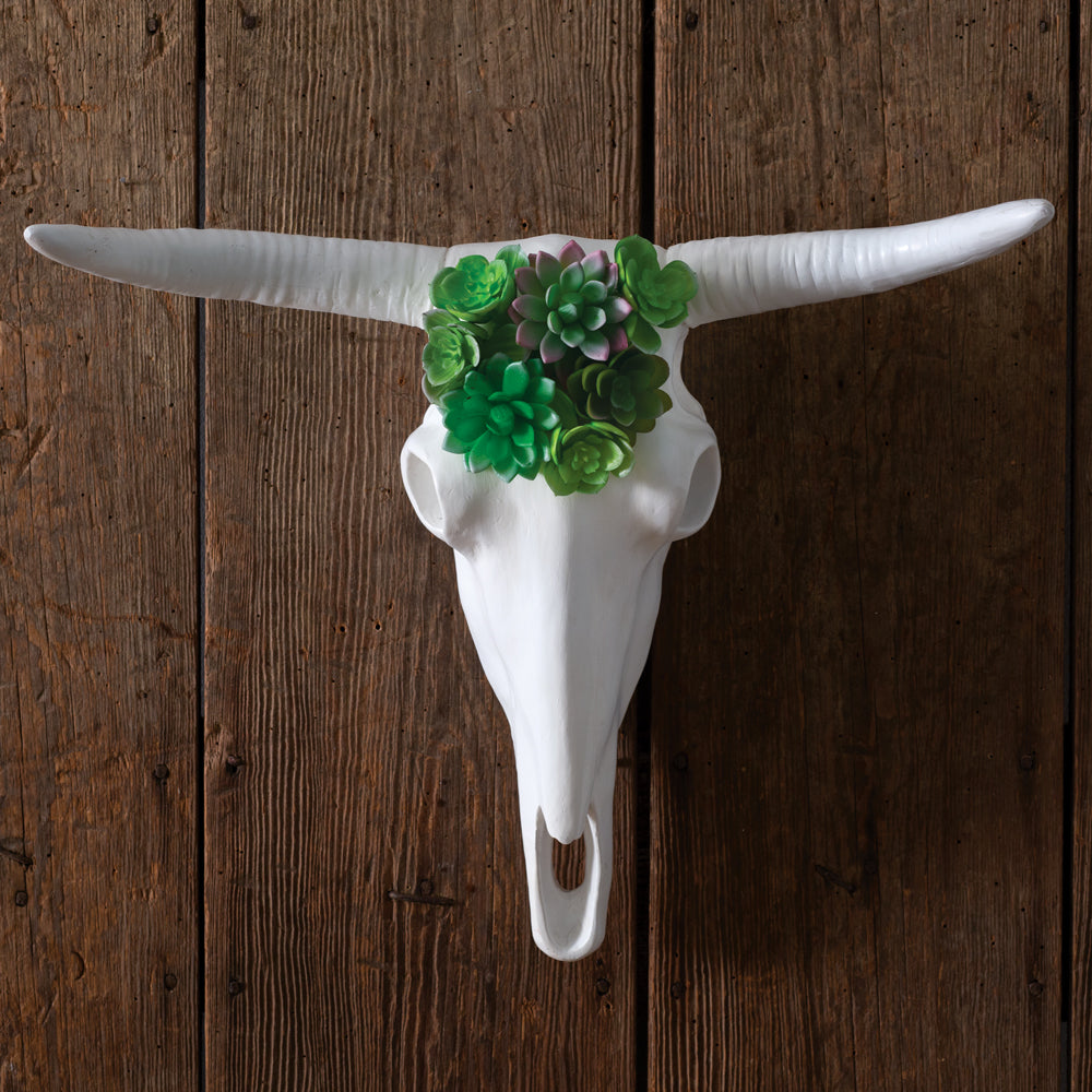 Our Faux Longhorn Skull with Succulents Wall Art i is a beautiful stand alone piece or add it to a gallery wall arrangement to add dimension. This unique wall décor piece features artificial succulents that have been planted on the top of the white painted, white faux longhorn skull. To hang, use its keyhole hanger. Size is 20''W x 5½''D x 16''H.
