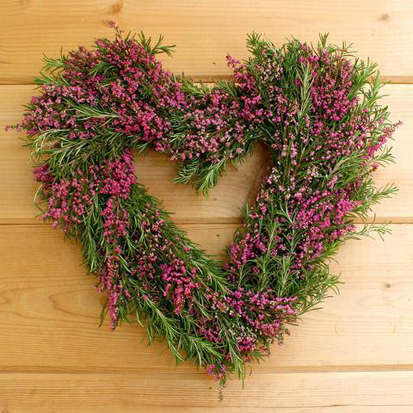 Our Fresh and Fragrant Pink Heather and Rosemary Heart Wreath is 15” in diameter and created and grown here in the USA by intertwining heather and rosemary together to create a beautiful heart.   