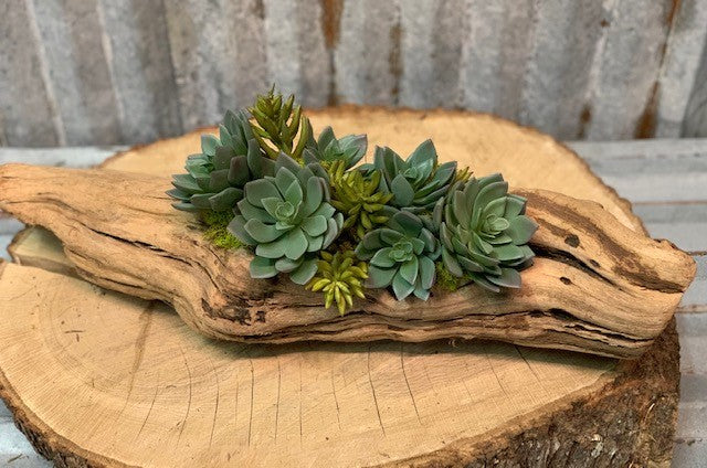 Our Hens and Chickens Succulent Log Tabletop Centerpiece Décor features life-looking faux hens and chickens succulents as well as ice plants, all elegantly nestled onto an authentic repurposed log of tumbled grape wood and makes a beautiful, back to nature display for your home or sheltered outdoor area. Each piece is a handmade work of art and each piece of wood may vary in shape and size due to the variations in the wood… making your creation a one-of-a kind beauty. Your creation would be approximately 17