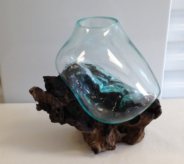 Another view of our medium sized Hand Blown Molten Glass and Wood Root Sculptured Terrarium / Vase / Fish Bowl (10x8”) is great many functions.