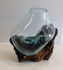 Our medium sized Hand Blown Molten Glass and Wood Root Sculptured Terrarium / Vase / Fish Bowl (10x8”) is great many functions.