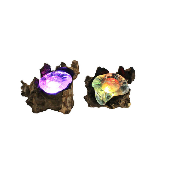 Create a beautiful glow with our set of 2 Illuminating Hand Blown Molten Glass Candle Holders and Wood Root Sculptures that are unique, one of a kind pieces